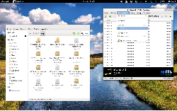 GNOME 3 & Clearwaita & NuoveXT 2