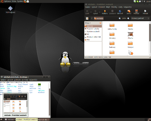 Ubuntu 9.04 Dust